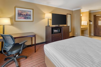 Standard Room, 1 King Bed, Non Smoking, Refrigerator & Microwave