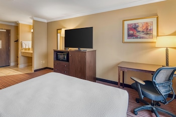 Standard Room, 1 Queen Bed, Non Smoking, Refrigerator & Microwave