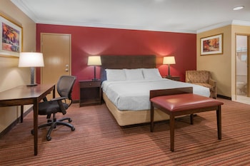 Standard Room, 1 King Bed, Non Smoking, Balcony (Oversized Room;with Sofabed)