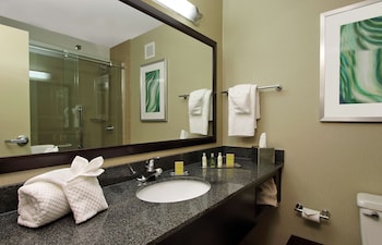 Studio Suite, 1 King Bed