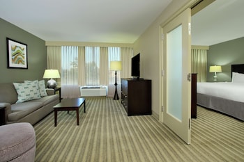 Suite, 1 King Bed
