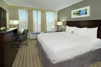 Suite, 1 King Bed