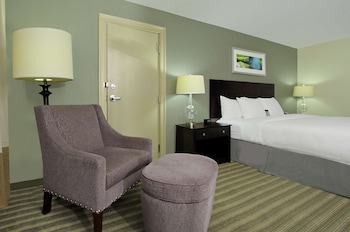 Room, 1 King Bed