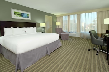 Studio Suite, 1 King Bed
