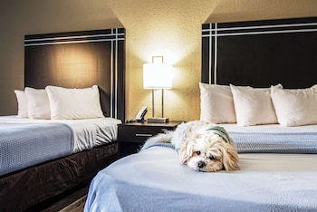 Room, 2 Queen Beds, Non Smoking (Pet Friendly)