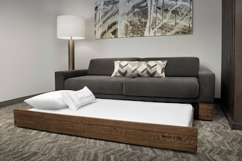 Suite, 1 King Bed with Sofa bed, Roll-in Shower