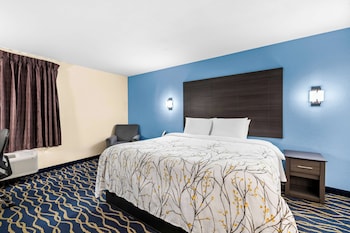 Room, 1 King Bed, Accessible, Non Smoking