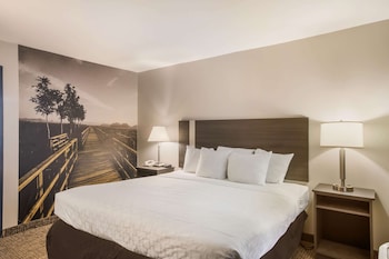 Room, 1 King Bed, Accessible, Non Smoking