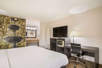 Standard Room, 1 King Bed, Non Smoking