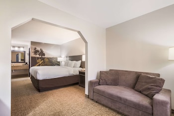 Suite, 1 King Bed, Non Smoking