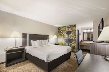 Room, 1 King Bed, Accessible, Non Smoking