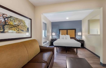 Room, 1 Queen Bed, Non Smoking (Micfridge, Sofa Bed)