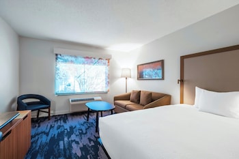 Studio, 1 King Bed with Sofa bed (Hearing Accessible)
