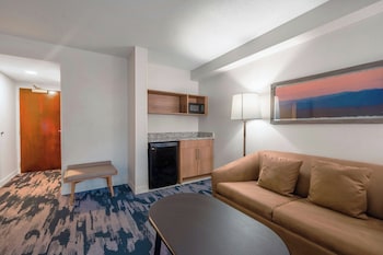 Studio, 1 King Bed with Sofa bed