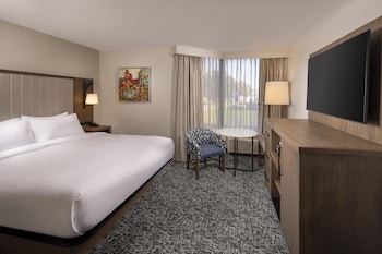 Room, 1 King Bed, Accessible (Roll-in Shower)