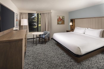 Room, 1 King Bed, Accessible, Refrigerator