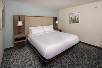Room, 1 King Bed, Accessible, Refrigerator