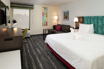 Room, 1 King Bed, Non Smoking