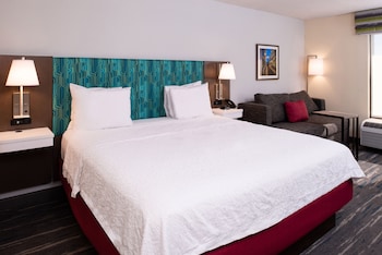 Room, 1 King Bed, Accessible, Bathtub