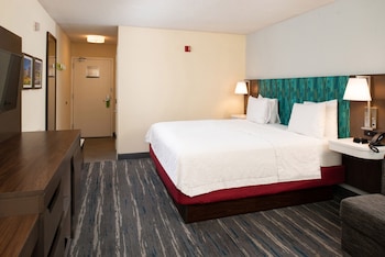 Room, 1 King Bed, Accessible, Bathtub