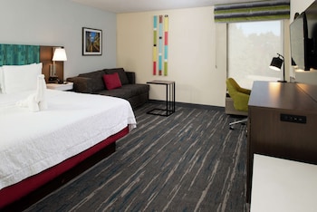 Room, 1 King Bed, Bathtub