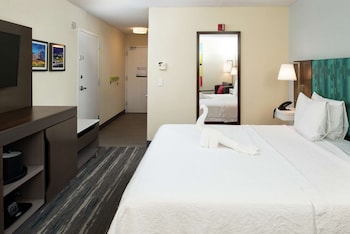 Room, 1 King Bed, Accessible, Bathtub