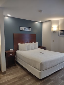 Room, 1 Queen Bed, Non Smoking