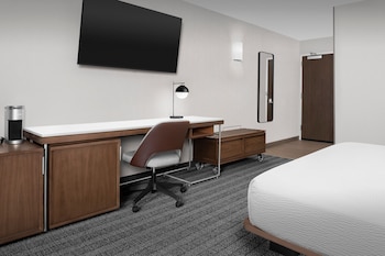 Room, 1 King Bed with Sofa bed