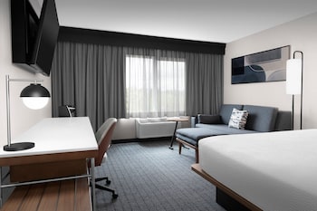 Room, 1 King Bed with Sofa bed