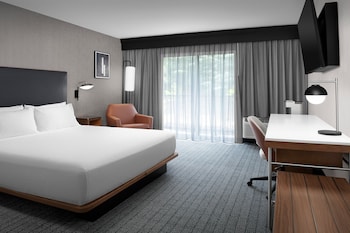 Room, 1 King Bed with Sofa bed