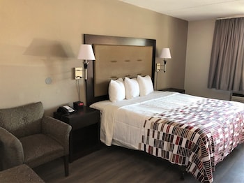 Superior Room, 1 King Bed, Non Smoking (Roll-In Shower)
