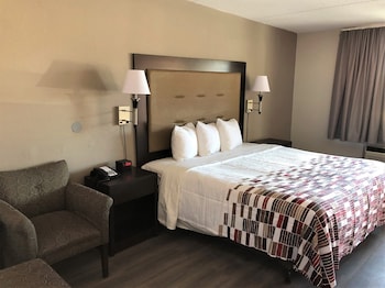 Superior Room, 1 King Bed, Non Smoking (Roll-In Shower)