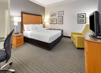 Room, 1 King Bed, Non Smoking, Pool View