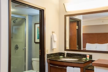 Room, 1 King Bed, Accessible, Bathtub