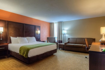 Standard Studio Suite, 1 King Bed with Sofa bed, Non Smoking