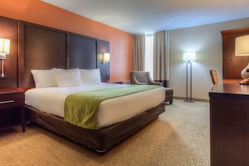 Standard Room, 1 King Bed, Accessible, Non Smoking