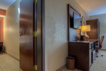 Standard Studio Suite, 1 Queen Bed with Sofa bed, Non Smoking