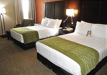 Standard Studio Suite, Multiple Beds, Non Smoking (Upgrade)