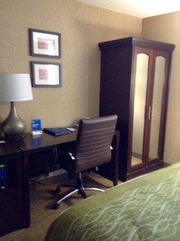Standard Studio Suite, 1 King Bed with Sofa bed, Non Smoking