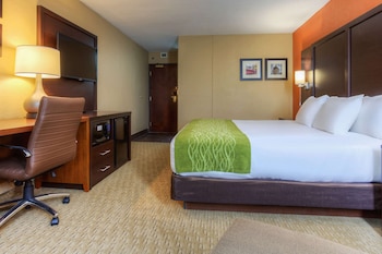 Standard Room, 1 King Bed, Accessible, Non Smoking