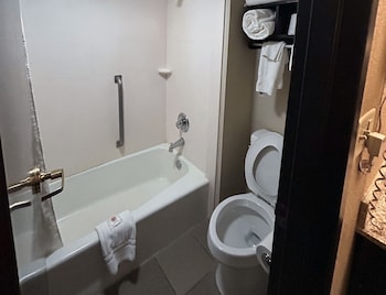 Standard Studio Suite, 1 King Bed with Sofa bed, Accessible, Non Smoking