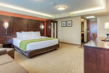 Standard Studio Suite, 1 King Bed with Sofa bed, Non Smoking
