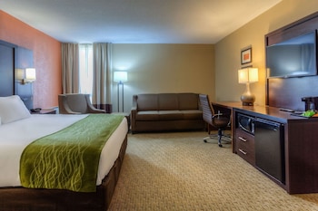 Standard Studio Suite, 1 King Bed with Sofa bed, Non Smoking