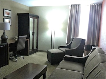 Standard Studio Suite, 1 King Bed with Sofa bed, Non Smoking