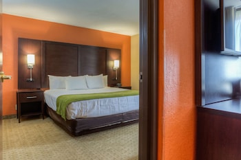 Standard Studio Suite, 1 Queen Bed with Sofa bed, Non Smoking