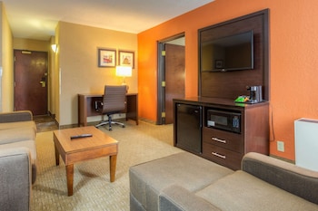 Standard Studio Suite, 1 King Bed with Sofa bed, Non Smoking