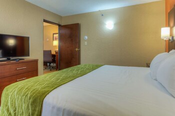 Standard Studio Suite, 1 King Bed with Sofa bed, Non Smoking