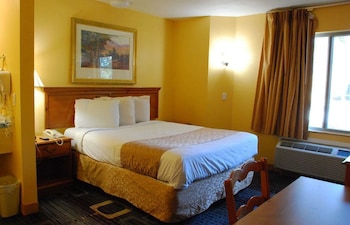 Room, 1 Queen Bed