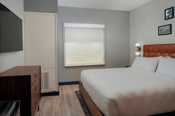 Suite, 1 King Bed