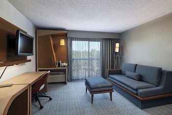 Room, 1 King Bed with Sofa bed